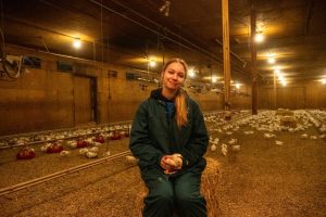 Woman in green coveralls sitting on a hay bale inside a poultry barn, holding a chick, with rows of young chickens and feeding lines in the background.